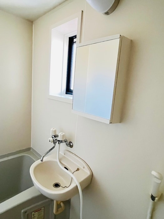 洗面 グレイプバイン