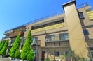 マンション梅木の外観