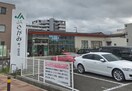 ＪＡ　さがみ柏ヶ谷支店(警察署/交番)まで450m リブリ・さがみ野