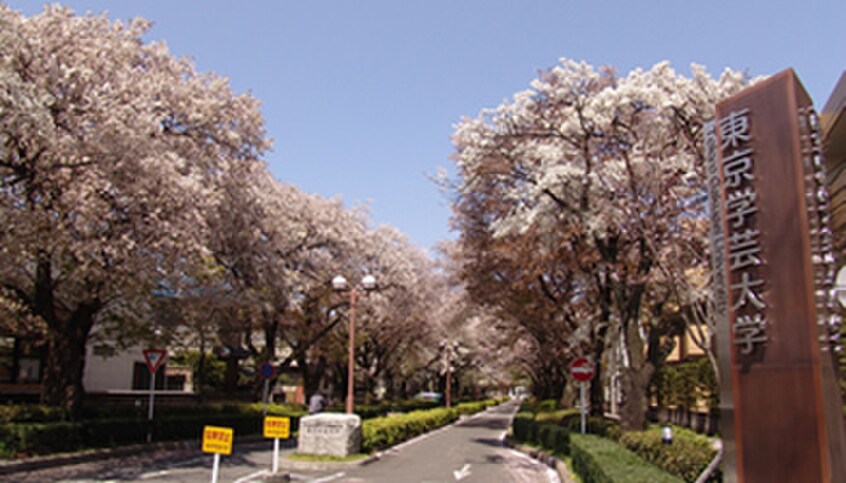 東京学芸大学(大学/短大/専門学校)まで750m Ｐｒｉｍｒｏｓｅ