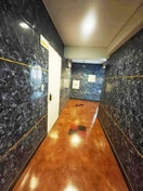 玄関 ドムス・アルバ