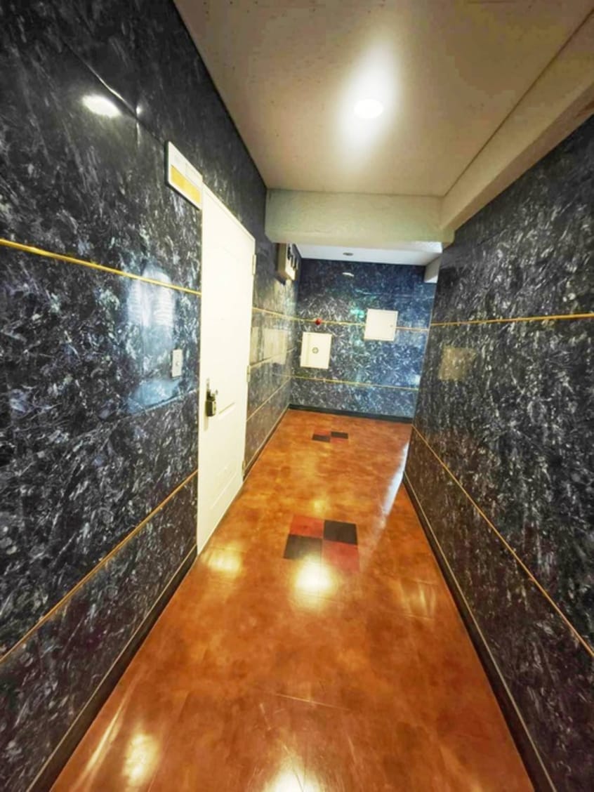 玄関 ドムス・アルバ