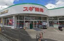 スギ薬局 相模が丘店(ドラッグストア)まで291m ヴィラパピヨン