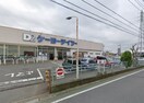 ケーヨーデイツー 相武台店(電気量販店/ホームセンター)まで704m ヴィラパピヨン