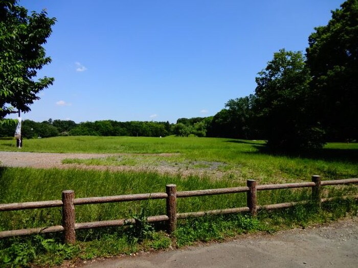 武蔵野公園(公園)まで485m パ－クサイドヒル