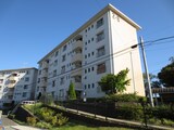宮向団地２街区８号棟(503)