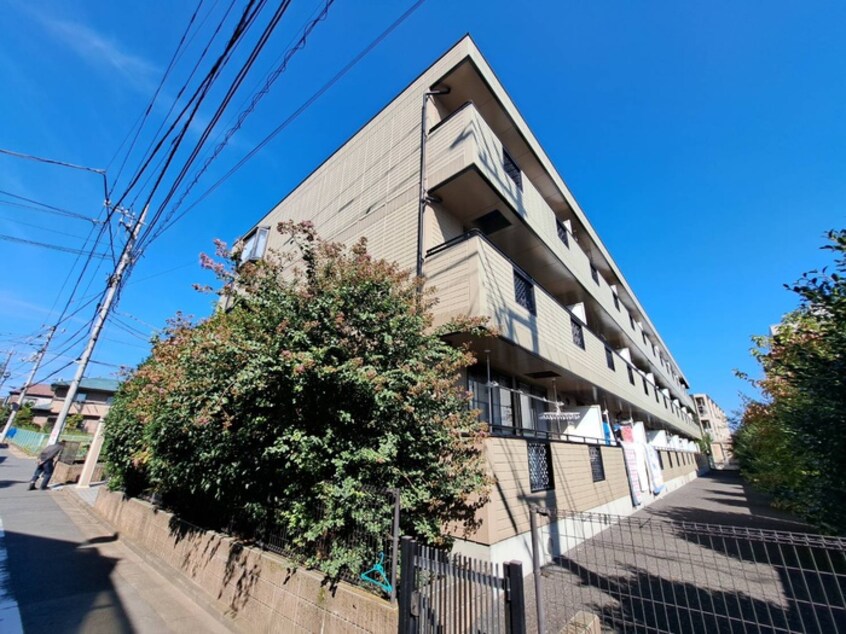 周辺環境 グレイスコ－ト