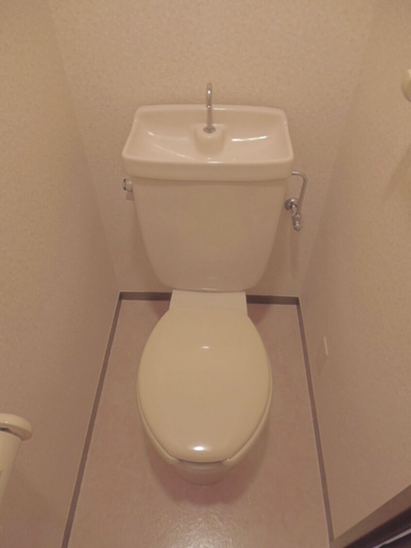 トイレ グレイスコ－ト