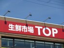 マミーマート生鮮市場TOP高麗川店(スーパー)まで503m リリーヴィレッジ　CREST