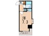 ライオンズプラザ白山（２０４） 1Rの間取り