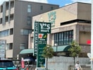 ワイズディスカ 東砂店(スーパー)まで620m リバ－サイドプレ－ヌ