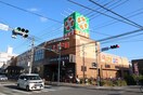 ライフ中原井田店(スーパー)まで927m エクサハイツ元住吉