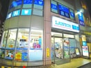 ローソン(コンビニ)まで214m 南柏ﾚｼﾞﾃﾞﾝｽ