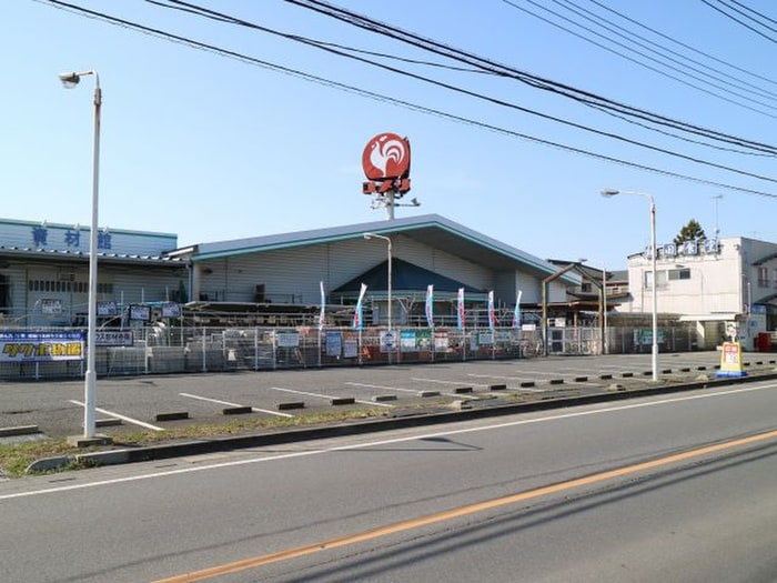 コメリ　伊奈町小室店(電気量販店/ホームセンター)まで200m リライアブルパレスⅠ