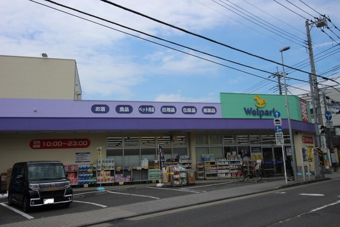 ウェルパーク川崎中野島店(ドラッグストア)まで700m 下島荘D棟