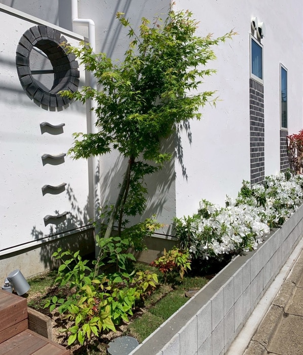 外観写真 ＳＩＬＶＥＲＡＤＯ方南