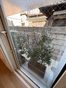 室内からの展望 ＳＩＬＶＥＲＡＤＯ方南