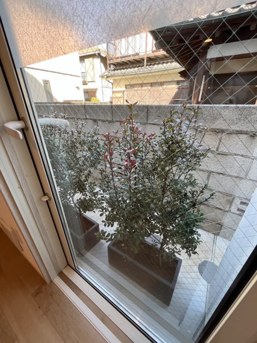 室内からの展望 ＳＩＬＶＥＲＡＤＯ方南