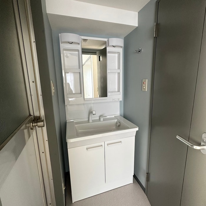 洗面 カロディカーサ相模大野B