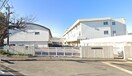 相模原市立新町中学校(中学校/中等教育学校)まで155m カロディカーサ相模大野B
