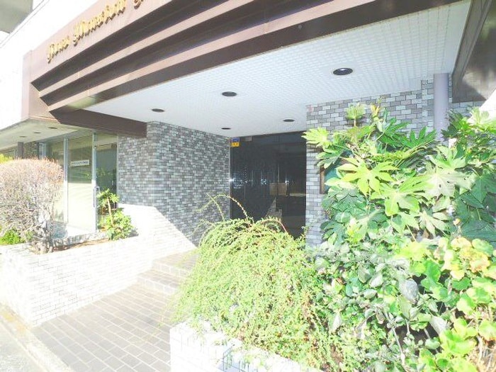 その他 ﾗｲｵﾝｽﾞﾏﾝｼｮﾝﾅﾐｷｷﾀｺｳｴﾝ