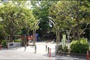 中根公園(公園)まで660m ラフォ－レヒル