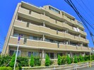プログレスの外観