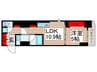 GRAN　PASEO浅草入谷 1LDKの間取り