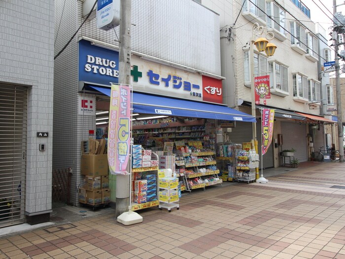 セイジョー　深沢店(ドラッグストア)まで63m ベアヴァ－レ自由ヶ丘