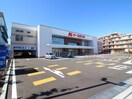ケーズデンキ辻堂店(電気量販店/ホームセンター)まで800m リブリ・FEEL-M湘南Ⅲ