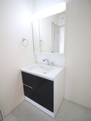 洗面 ﾏｲﾎｰﾑﾈｸｽﾄ野田尾崎台Ⅱ1号棟