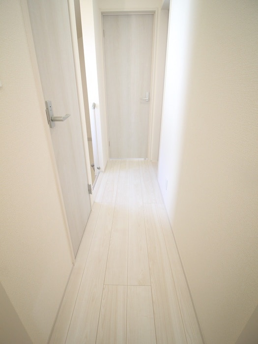 廊下 ﾏｲﾎｰﾑﾈｸｽﾄ野田尾崎台Ⅱ1号棟