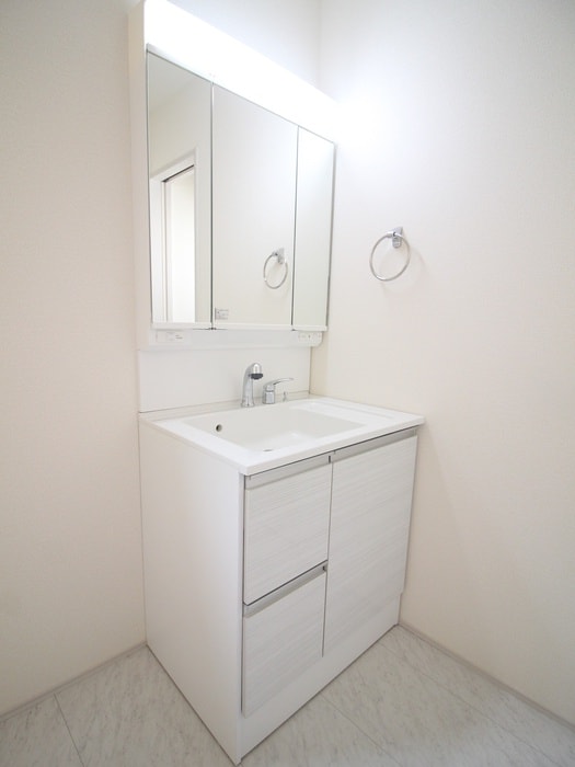 洗面 ﾏｲﾎｰﾑﾈｸｽﾄ野田尾崎台Ⅱ4号棟