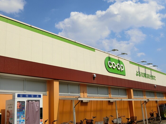 コープ小川西町店(スーパー)まで680m 光ハイツ(1F)