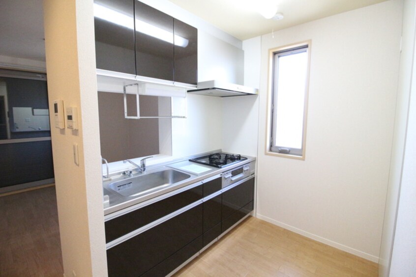 キッチン ラフィーネ緑園C