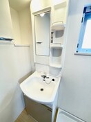 洗面 レジス飛鳥山公園