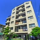 ｐｕｒｅｚａ Ｍの外観