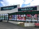 食品館あおば白根店(スーパー)まで900m シェレ－ネ