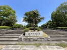 亀戸中央公園(公園)まで291m アンベリール亀戸パーク(601)