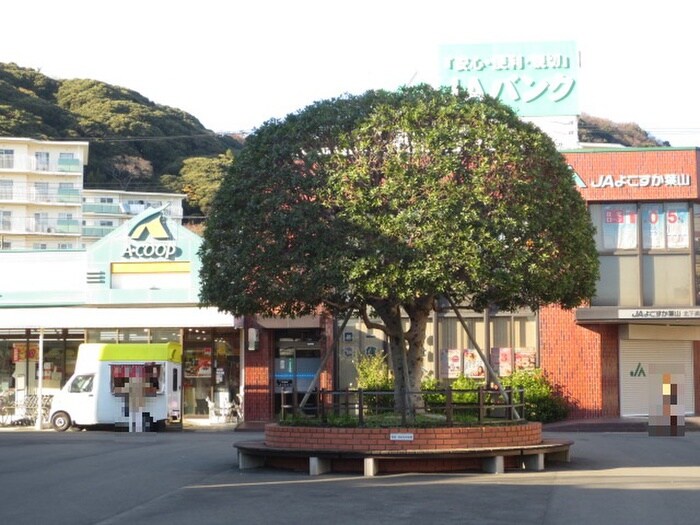 Aコープ長沢店(スーパー)まで939m マリンライフⅡ