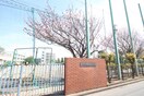 三原台中学校(中学校/中等教育学校)まで327m 富士コーポ