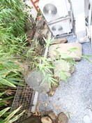 ベランダ・バルコニー Vienta　溝の口