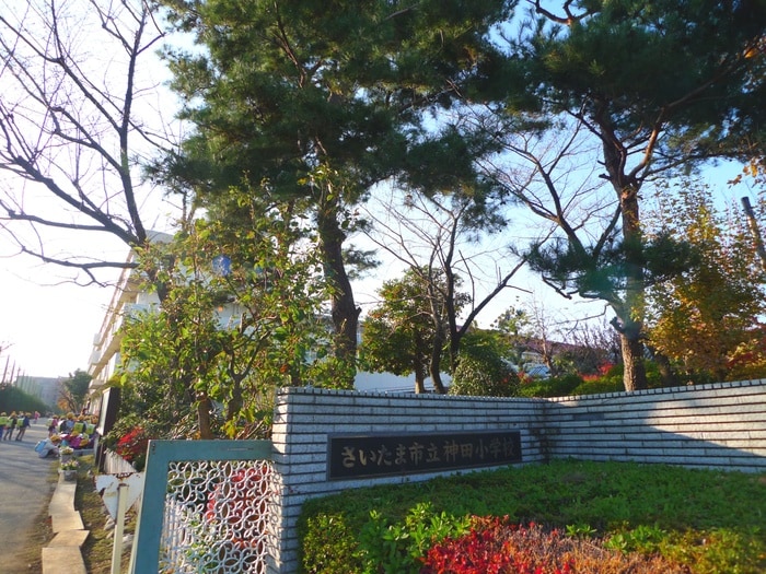 神田小学校(小学校)まで220m ユ―ラナス浦和Ｂ棟