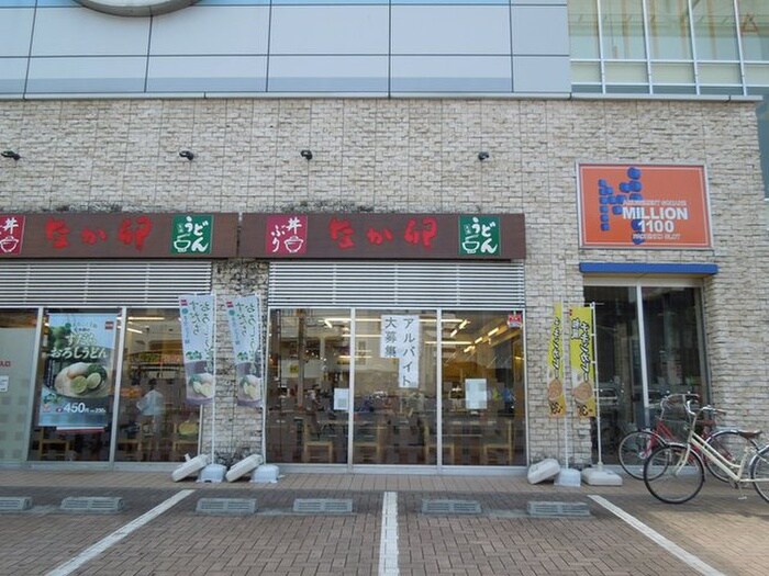 なか卯　朝霞店(その他飲食（ファミレスなど）)まで221m イコ－ハイツ