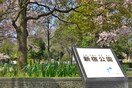 新宿公園(公園)まで70m Ｌａ　Ｄｏｕｃｅｕｒ　千葉中央