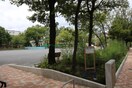 牡丹町公園(公園)まで655m ダフィット門前仲町