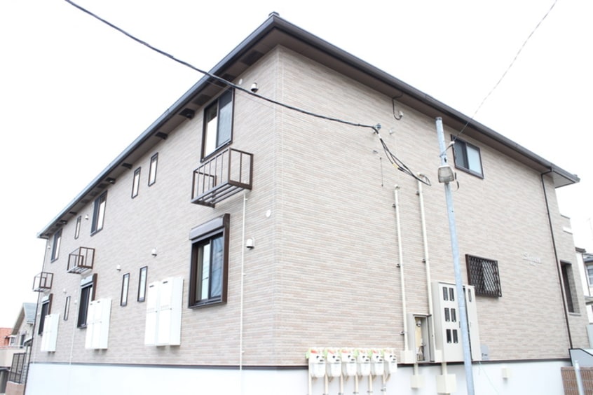 その他 シャラ