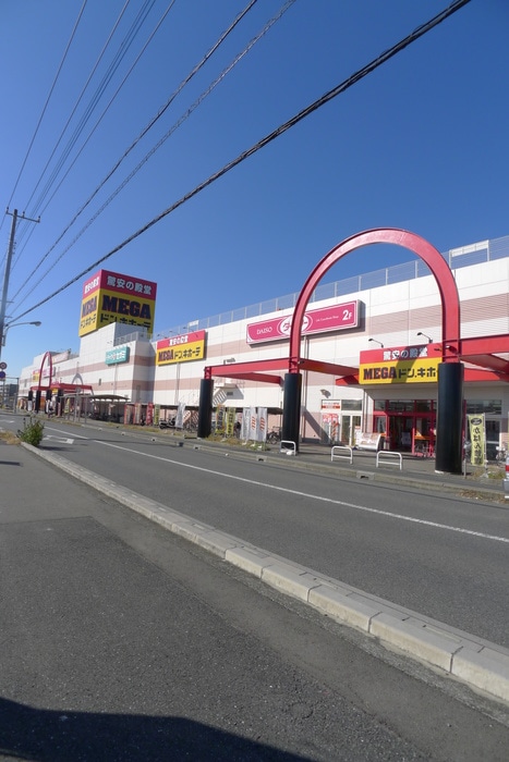 メガドンキホーテ(スーパー)まで1520m ＴＡＮＡ　Ｅ棟