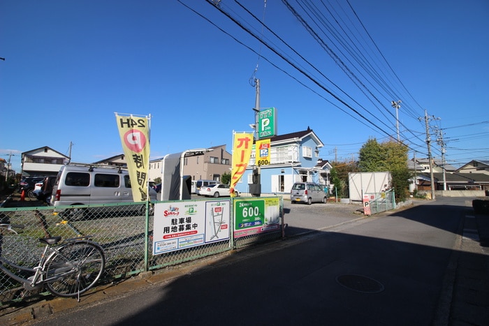 その他 サウスウィステリア