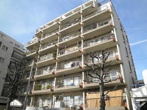 学芸大ﾆｭｰｽｶｲﾏﾝｼｮﾝ(306)